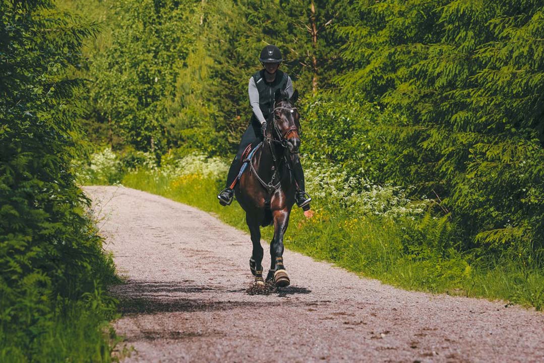 Ratsastaja hevosen kanssa maastossa