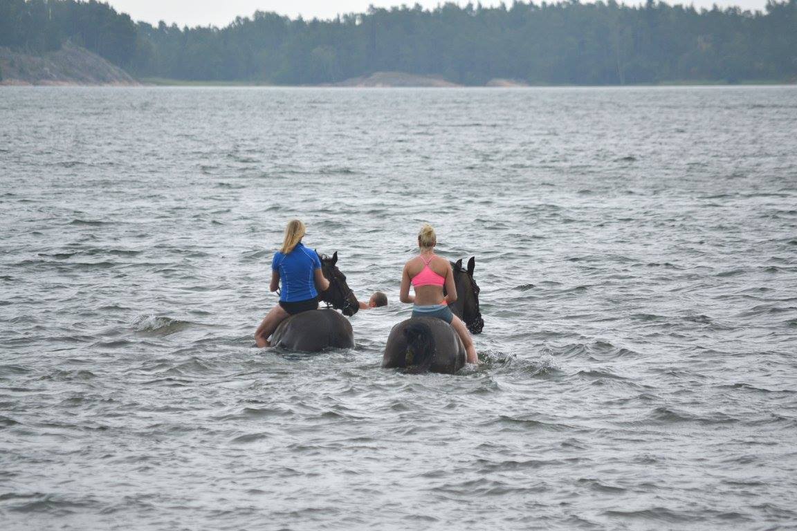 Hevoset ja naiset uimassa