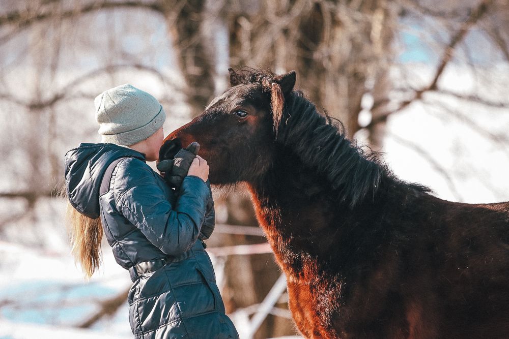 kuvassa tyttö pussaa hevosta